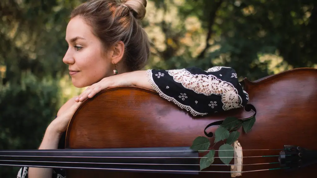 How to display a violin on the wall