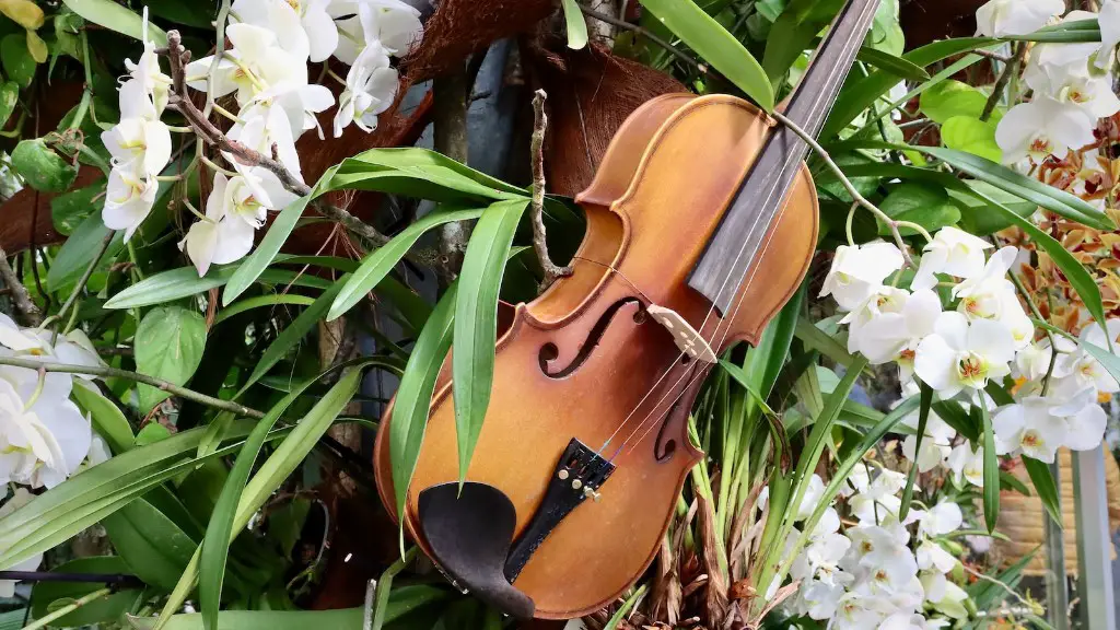 How much is violin in philippines