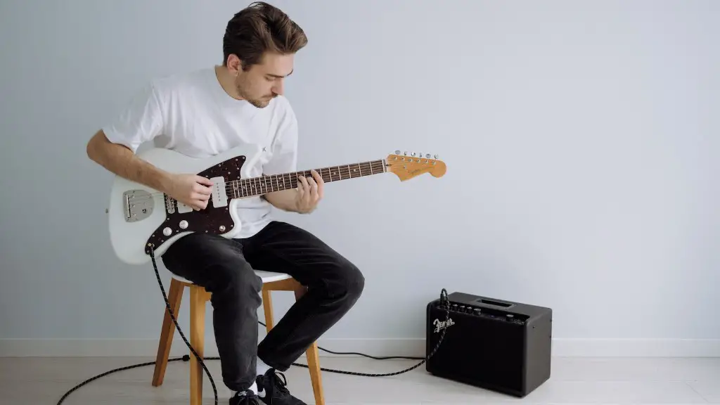 What is the handle on the electric guitar called