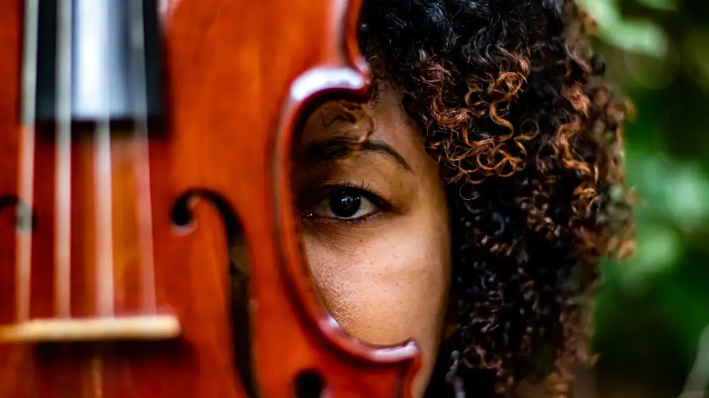 How to clean the violin