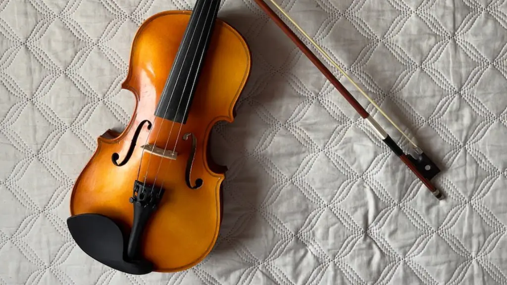 How much is a professional violin