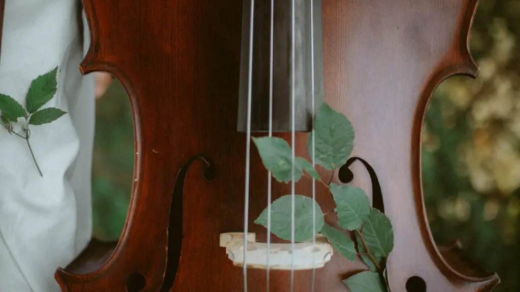 Does Dermot Mulroney Really Play The Cello